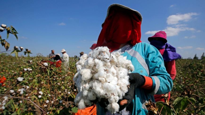 الرئيس السيسي يوافق على تعديلات قانون الأحكام الخاصة بالقطن