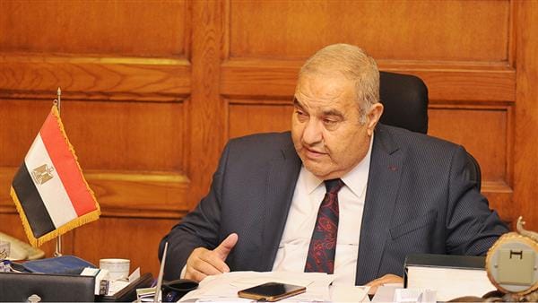 رئيس الدستورية العليا: السيسي قدوة لكل أجهزة الدولة في احترام مبدأ سيادة القانون
