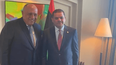 شكري يؤكد: مصر حريصة على دعم الشقيقة ليبيا