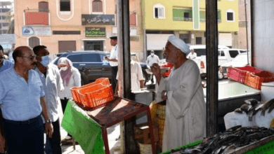 محافظ أسوان: إقامة أول سوق سياحي حضاري متكامل للأسماك