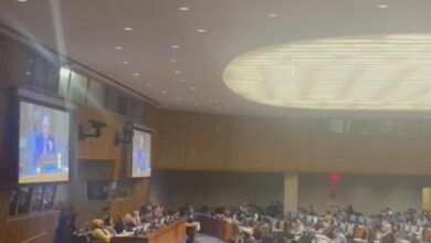 المركز العربي الاوروبي يشارك في مشاورات الجمعية العامة للامم