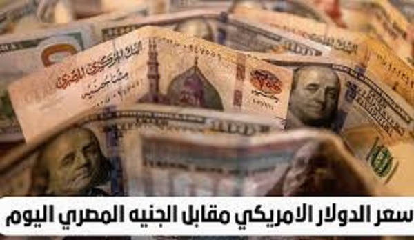 مش هتصدق وصل كام.. استقرار ملحوظ في سعر الدولار اليوم