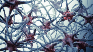 طفرة علمية.. اكتشاف جديد قد يساعد في مكافحة السمنة