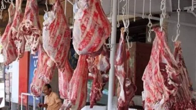 بشرى سارة.. هبوط ملحوظ في سعر للحوم اليوم