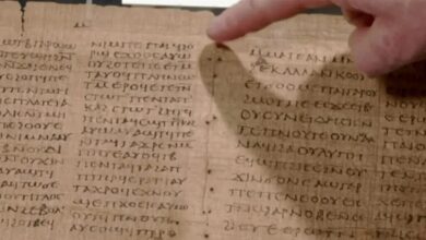 ملايين الدولارات.. كتاب من مصر معروض للبيع بسعر خيالي