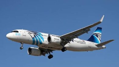 نائبة تكشف عن شبهة إهدار المال العام بعد إعلان بيع 12 طائرة