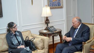 شكري يستقبل المقررة الأممية الخاصة بالأراضي الفلسطينية