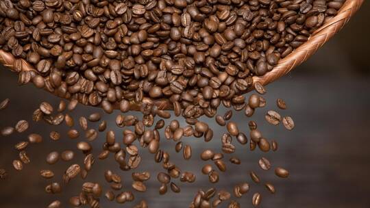 بعد تجارب 40 سنة.. نجاح زراعة البن لأول مرة في مصر