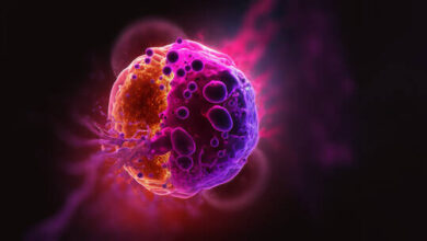 تحذيرات من أمراض "مهددة للحياة" قد تطال نصف سكان العالم بحلول نهاية القرن