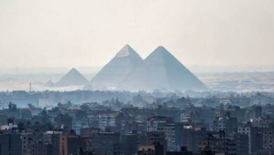 إسرائيل تتحدى عالما مصريا