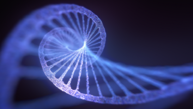 تحديد جين جديد يمكنه مكافحة الشيخوخة