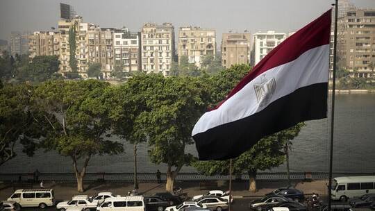 تحركات في مصر بعد أزمة قطع الأشجار