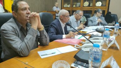 جانب من المؤتمر