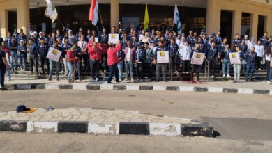 جانب من المهرجان