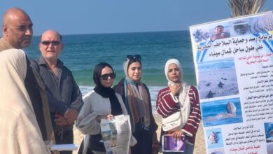 حلقة بحثية وتطبيق عملي لحماية السلاحف البحرية بالعريش