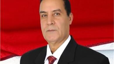 "الشهاوي": الشائعات لن توقف الدولة المصرية عن استكمال مسيرتها في التنمية والبناء