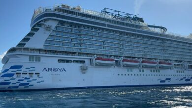 محافظ جنوب سيناء يستقبل السفينة أرويا بشرم الشيخ