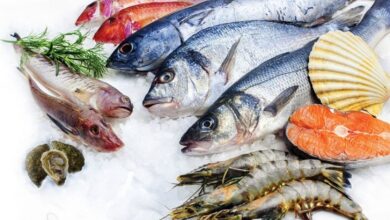 المنتجات البحرية المصرية