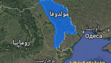 الدكتورة أميرة حجازي تكتب :الهجرة إلى الخارج..