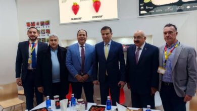 وزير الزراعة يبحث زيادة تصدير شتلات الفراولة والموالح