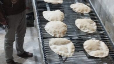 تموين كفر الشيخ : ضبط سلع منتهية الصلاحية ومخالفات بالمخابز