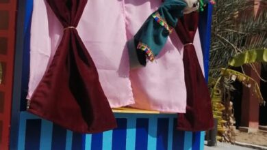 قصور الثقافة بكفر الشيخ تناقش قضايا مهمة وتقدم أنشطة ثقافية وترفيهية متنوعة