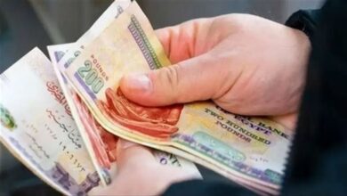 زيادة كبيرة في معاشات نقابة المهندسين 