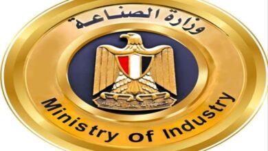 الصناعة: طرح وحدات صناعية جاهزة في قنا والأقصر وأسوان إلكترونيًّا