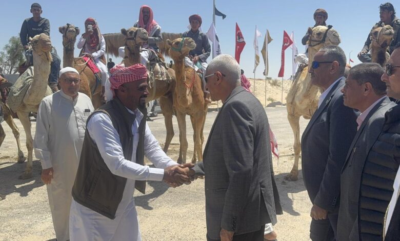القبائل العربية تشارك في مهرجان الهجن بالعريش
