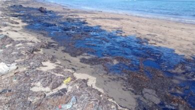 التحقيق في واقعة تسريب زيت بشاطيء رأس سدر