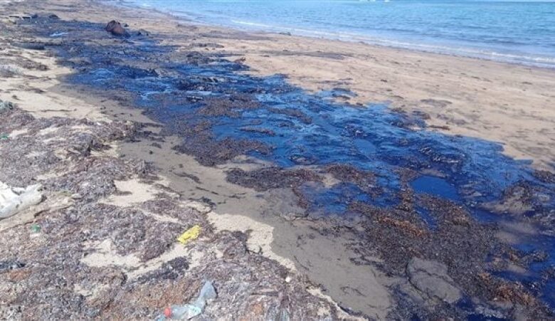 التحقيق في واقعة تسريب زيت بشاطيء رأس سدر