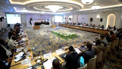 وزارة الداخلية تنظم الاجتماع الخامس لرؤساء إدارات التدريب بشرطة الدول الأفريقية بمشاركة 45 دولة