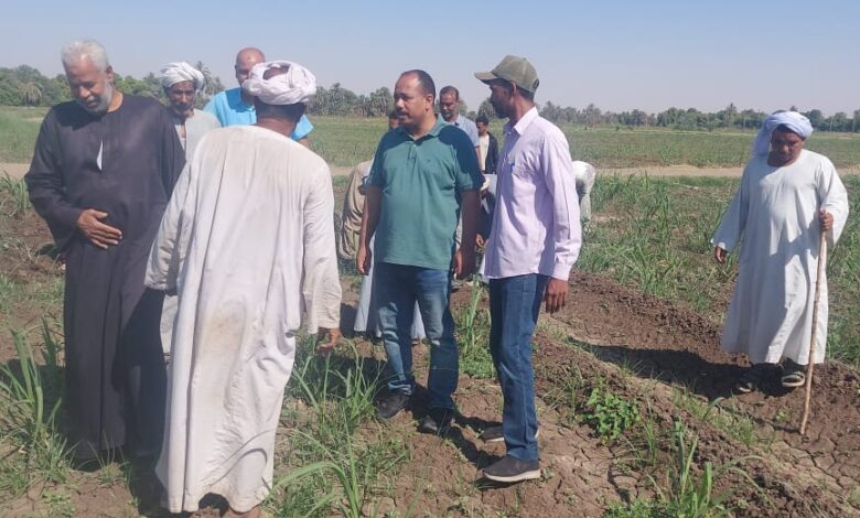 "الزراعة" تتفقد الأنشطة الإرشادية ودعم المزارعين بمحطة البحوث بكوم امبو خلال إجازة العيد