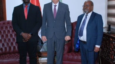 وزير الزراعة يبحث مع خبيرين دوليين تعزيز استراتيجيات التنمية الزراعية والأمن الغذائي في مصر ودول القارة السمراء