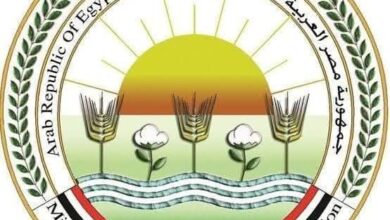 وسوق الدواجن واللحوم يشهد حالة استقرار