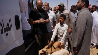 "بحوث الصحراء" يطلق قافلة بيطرية مجانية لخدمة المربين بقرى السلوم وسيدي براني في مطروح