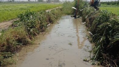 محافظ أسيوط: مواصلة تطهير ورفع مخلفات الترع لضمان وصول المياه لنهايتها