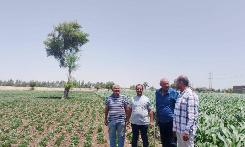 محافظ أسيوط يؤكد أهمية متابعة الزراعات بالمراكز والقرى .