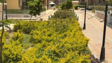 الشربيني: بدء تسليم 1008 وحدات سكنية من «جنة مصر»