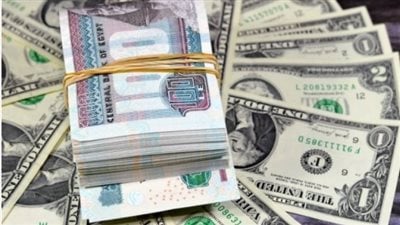 تطورات سعر الدولار في البنك المركزي والبنوك الرئيسية.. الجمعة ٢٥ يوليو