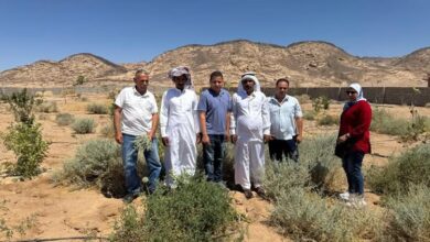 "الزراعة" تستعرض تقريرا حول الجهود البحثية والخدمية والميدانية ل"بحوث الصحراء" خلال يونيو الماضي