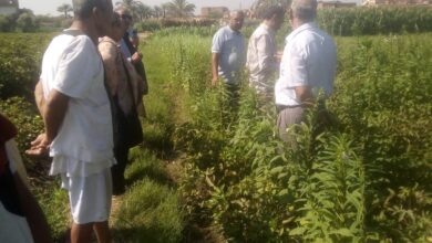  470 ندوة إرشادية وتدريبية لدعم المزارعين  بالمحافظات في أسبوع 