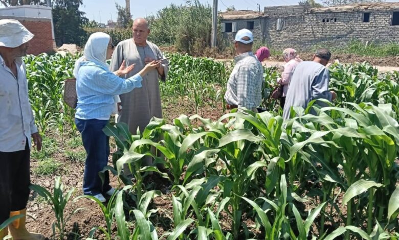 "البحوث الزراعية" ينفذ 1750 نشاطاً