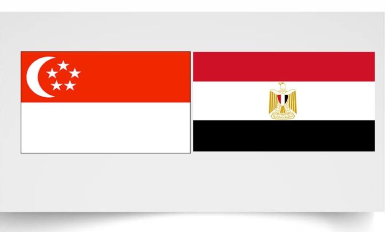الاستثمارات السنغافورية في مصر ترتفع إلى 210.3 مليون دولار خلال النصف الأول من العام المالي 2024/2025