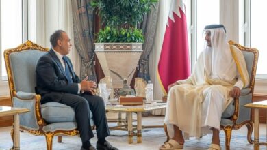 رسالة تضامنية ودعم من الرئيس السيسي لأمير قطر ينقلها وزير الخارجية