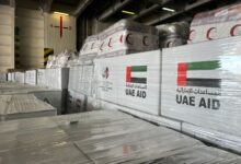 سفينة «الإمارات الإنسانية» تصل ميناء العريش بحمولة أكثر من 7 آلاف طن