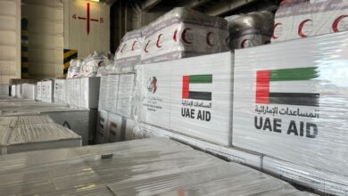 سفينة «الإمارات الإنسانية» تصل ميناء العريش بحمولة أكثر من 7 آلاف طن