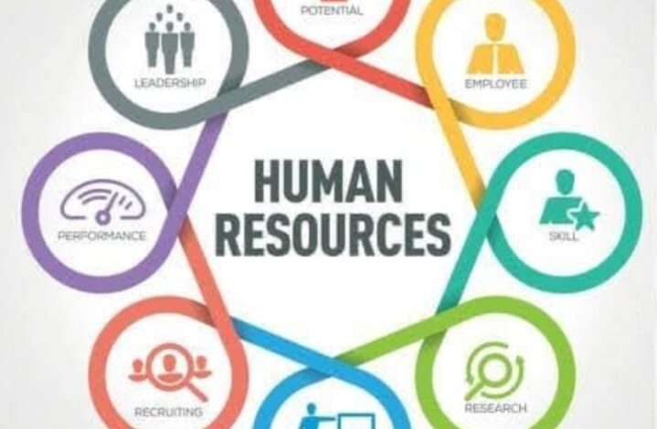 إدارة الموارد البشرية الفعالة