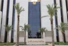 الزراعة تعلن آليات الاستفادة من مشروع "إحياء البتلو".. 3 جهات تتلقى طلبات التمويل