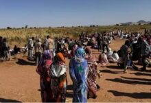 السودان.. وصول مئات النازحين من الفاشر إلى منطقة الدبة